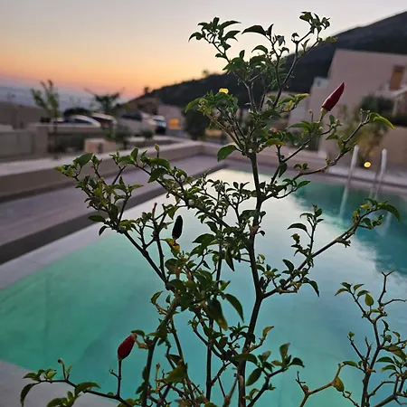 Ostriche & Champagne Coast *